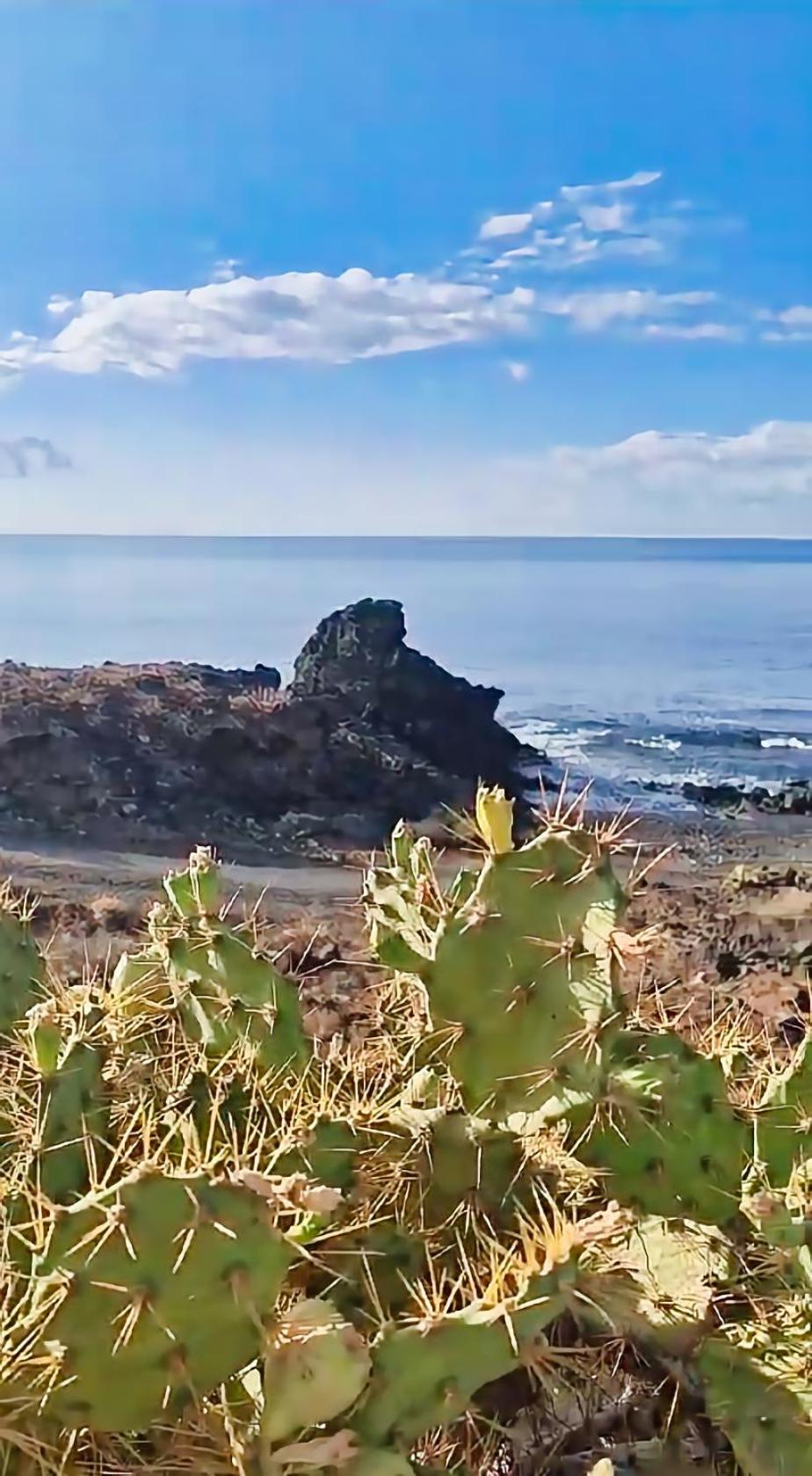 Casa Palmu Apartment - A Peaceful And Relaxing Oasis In Golf Del Sur, Tenerife Сан-Мігель-де-Абона Екстер'єр фото