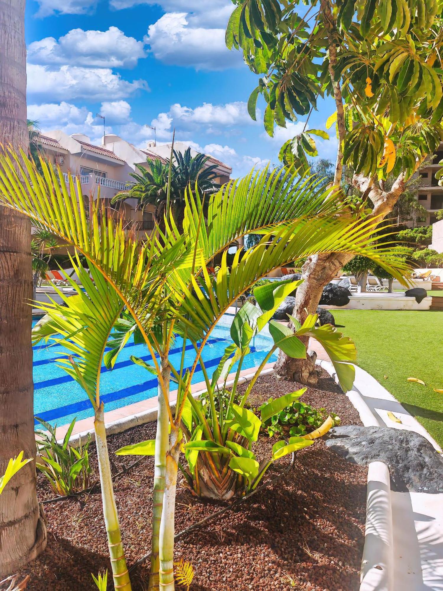 Casa Palmu Apartment - A Peaceful And Relaxing Oasis In Golf Del Sur, Tenerife Сан-Мігель-де-Абона Екстер'єр фото